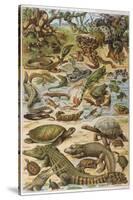 An Amazing Illustration Covering the Whole Range of Reptilian Species from Snakes to Newts-null-Stretched Canvas