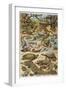 An Amazing Illustration Covering the Whole Range of Reptilian Species from Snakes to Newts-null-Framed Premium Photographic Print