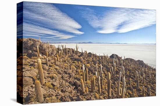 An Amazing View from the Top of the Isla Incahuasi, Salar De Uyuni, Bolivia, South America-Roberto Moiola-Stretched Canvas