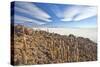 An Amazing View from the Top of the Isla Incahuasi, Salar De Uyuni, Bolivia, South America-Roberto Moiola-Stretched Canvas