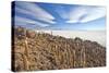 An Amazing View from the Top of the Isla Incahuasi, Salar De Uyuni, Bolivia, South America-Roberto Moiola-Stretched Canvas