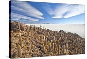 An Amazing View from the Top of the Isla Incahuasi, Salar De Uyuni, Bolivia, South America-Roberto Moiola-Stretched Canvas