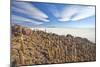 An Amazing View from the Top of the Isla Incahuasi, Salar De Uyuni, Bolivia, South America-Roberto Moiola-Mounted Photographic Print