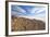 An Amazing View from the Top of the Isla Incahuasi, Salar De Uyuni, Bolivia, South America-Roberto Moiola-Framed Photographic Print