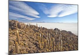 An Amazing View from the Top of the Isla Incahuasi, Salar De Uyuni, Bolivia, South America-Roberto Moiola-Mounted Photographic Print