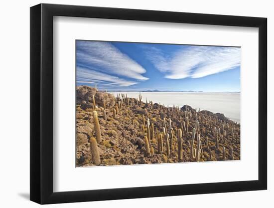 An Amazing View from the Top of the Isla Incahuasi, Salar De Uyuni, Bolivia, South America-Roberto Moiola-Framed Photographic Print