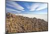 An Amazing View from the Top of the Isla Incahuasi, Salar De Uyuni, Bolivia, South America-Roberto Moiola-Mounted Photographic Print