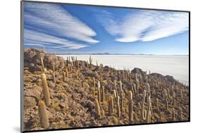 An Amazing View from the Top of the Isla Incahuasi, Salar De Uyuni, Bolivia, South America-Roberto Moiola-Mounted Photographic Print