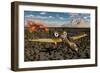 An American A-10 Thunderbolt Using Abandoned Tanks as Target Practice-null-Framed Premium Giclee Print