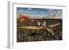 An American A-10 Thunderbolt Using Abandoned Tanks as Target Practice-null-Framed Premium Giclee Print