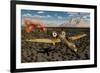 An American A-10 Thunderbolt Using Abandoned Tanks as Target Practice-null-Framed Art Print