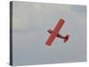 An American Champion 8KCAB Decathlon Light Aircraft-Stocktrek Images-Stretched Canvas
