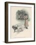 An American Girl Walks with an English Bull Terrier and and a Bulldog-null-Framed Art Print