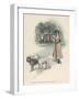 An American Girl Walks with an English Bull Terrier and and a Bulldog-null-Framed Art Print