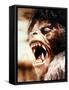 An American Werewolf in London-null-Framed Stretched Canvas