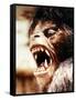 An American Werewolf in London-null-Framed Stretched Canvas