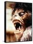 An American Werewolf in London-null-Framed Stretched Canvas