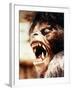 An American Werewolf in London-null-Framed Photo