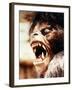 An American Werewolf in London-null-Framed Photo