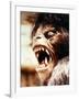 An American Werewolf in London-null-Framed Photo