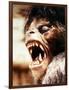 An American Werewolf in London-null-Framed Photo