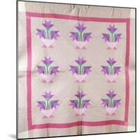 An Amish Pieced and Appliqued Cotton Quilted Coverlet, circa 1930-null-Mounted Giclee Print