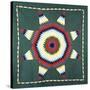 An Amish Star of Bethlehem Coverlet, Pennsylvania, Pieced and Quilted Cotton, Circa 1930-null-Stretched Canvas