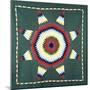 An Amish Star of Bethlehem Coverlet, Pennsylvania, Pieced and Quilted Cotton, Circa 1930-null-Mounted Giclee Print