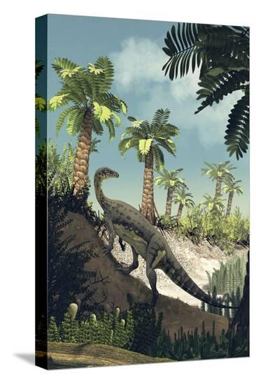 Stretched Canvas Print, , large