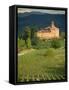 An Ancient Fortified Wine Cantina, Tenuta La Volta, Near Barolo, Piemonte, Italy, Europe-Newton Michael-Framed Stretched Canvas