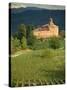 An Ancient Fortified Wine Cantina, Tenuta La Volta, Near Barolo, Piemonte, Italy, Europe-Newton Michael-Stretched Canvas