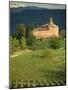 An Ancient Fortified Wine Cantina, Tenuta La Volta, Near Barolo, Piemonte, Italy, Europe-Newton Michael-Mounted Photographic Print