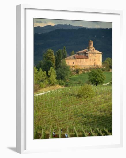 An Ancient Fortified Wine Cantina, Tenuta La Volta, Near Barolo, Piemonte, Italy, Europe-Newton Michael-Framed Photographic Print