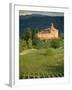 An Ancient Fortified Wine Cantina, Tenuta La Volta, Near Barolo, Piemonte, Italy, Europe-Newton Michael-Framed Photographic Print