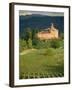 An Ancient Fortified Wine Cantina, Tenuta La Volta, Near Barolo, Piemonte, Italy, Europe-Newton Michael-Framed Photographic Print