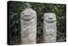 An ancient pre-Columbian stone carving at San Agustin, UNESCO World Heritage Site, South Colombia-Alex Treadway-Stretched Canvas