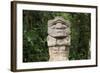 An ancient pre-Columbian stone carving at San Agustin, UNESCO World Heritage Site, South Colombia-Alex Treadway-Framed Photographic Print