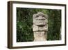 An ancient pre-Columbian stone carving at San Agustin, UNESCO World Heritage Site, South Colombia-Alex Treadway-Framed Photographic Print