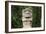 An ancient pre-Columbian stone carving at San Agustin, UNESCO World Heritage Site, South Colombia-Alex Treadway-Framed Photographic Print