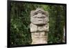 An ancient pre-Columbian stone carving at San Agustin, UNESCO World Heritage Site, South Colombia-Alex Treadway-Framed Photographic Print