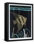 An Angel Fish-null-Framed Stretched Canvas