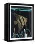 Canvas Black