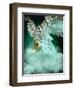 An Angel-Atelier Sommerland-Framed Art Print