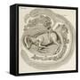 An Animal in the Womb, 1738-Hieronymus Fabricius ab Aquapendente-Framed Stretched Canvas