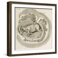 An Animal in the Womb, 1738-Hieronymus Fabricius ab Aquapendente-Framed Giclee Print