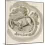 An Animal in the Womb, 1738-Hieronymus Fabricius ab Aquapendente-Mounted Giclee Print