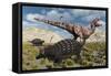 An Ankylosaurus Defending Itself from an Attacking Tyrannosaurus Rex-Stocktrek Images-Framed Stretched Canvas