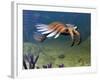 An Anomalocaris Explores a Middle Cambrian Age Ocean Floor-Stocktrek Images-Framed Photographic Print