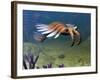 An Anomalocaris Explores a Middle Cambrian Age Ocean Floor-Stocktrek Images-Framed Photographic Print