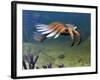 An Anomalocaris Explores a Middle Cambrian Age Ocean Floor-Stocktrek Images-Framed Photographic Print